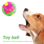 Pet Dog Toy Interactive Elasticity Rubber Ball