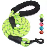 Pet Leash Reflective