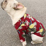 Dog Shirts Summer Beach