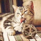 Catnip Ball Interactive Toy For Cats