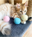 Interactive Ball Smart Catnip Cat Training Toy