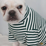 Dog Shirt Fashion Striped