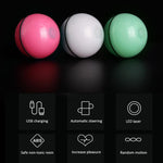 360 Degree Interactive Pet LED Glowing Motion Ball