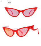 Oversized Cat Eye Sunglasses