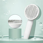 Brush Pet Comb Removes Hair