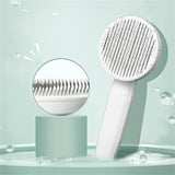 Brush Pet Comb Removes Hair