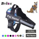 Dog Harness