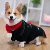 Christmas Dog Coat