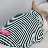 Dog Shirt Fashion Striped