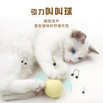 Interactive Ball Smart Catnip Cat Training Toy