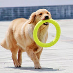 Pet Flying Discs Dog Training