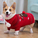 Christmas Dog Coat