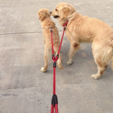 Strong Nylon Ribbon Double Dog Leash