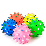 Pet Squeaky Fetch Spiky Ball