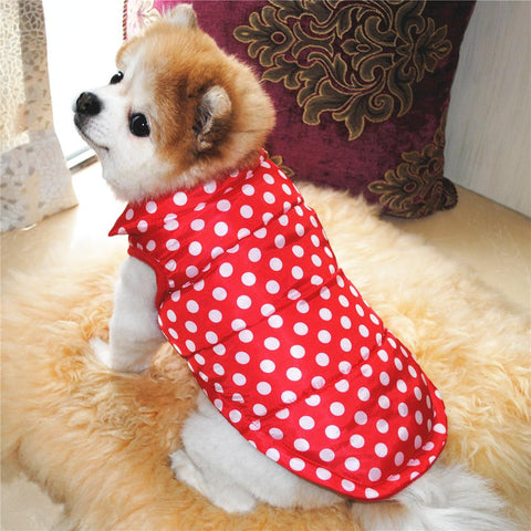 Pet vest  jacket