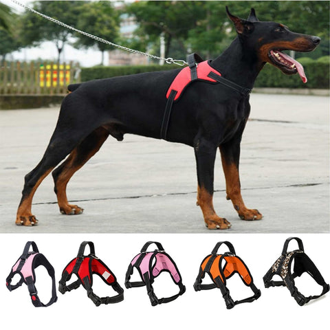 Heavy Duty Dog Pet Harness Collar