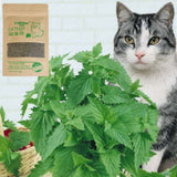 1pcs Natural Premium Catnip Menthol Organic Funny Cat Toy