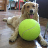 24CM Giant Tennis Ball For Dog