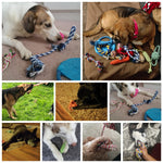 Variety Piece Dog Toy Set