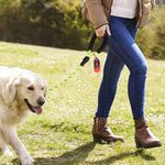 Pet Leash Reflective