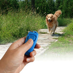 Clicker Trainer Training Dog