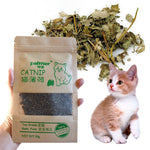 1pcs Natural Premium Catnip Menthol Organic Funny Cat Toy