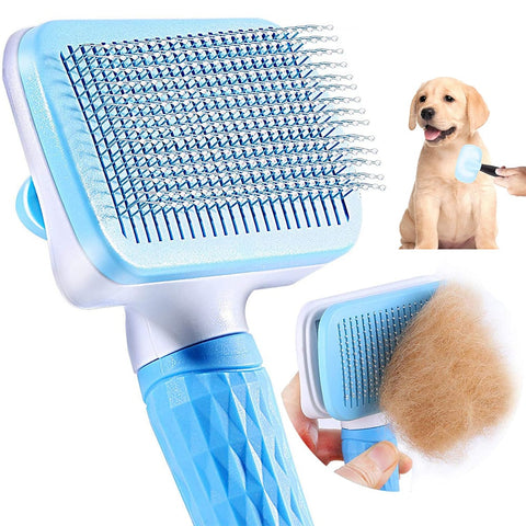 Hair Remover Brush C