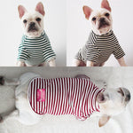 Dog Shirt Fashion Striped