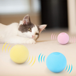 Interactive Ball Smart Catnip Cat Training Toy