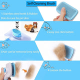 Hair Remover Brush C