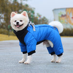 Warm Puppy Jacket