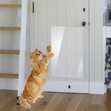 Furniture Guard Cat Scratch Protector