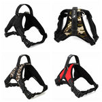 Heavy Duty Dog Pet Harness Collar