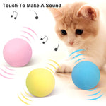 Interactive Ball Smart Catnip Cat Training Toy