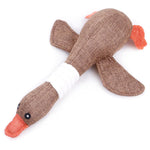 Dog Squeak Wild Goose Toy