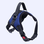 Heavy Duty Dog Pet Harness Collar