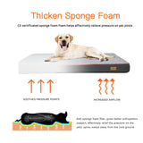 Large Orthopedic Dog Bed Memory Foam Waterproof