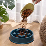 Pet Slow Food Bowl