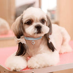 Bling Pet Collar