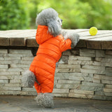 Winter Warm Down Dog Jacket