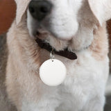 GPS Tracker Collar  Keychain Locator