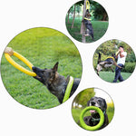 Dog Flying Disk Training Ring