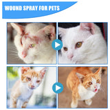 Pet Skin Care Health