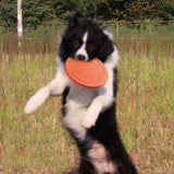 Dog Toy Flying Discs