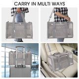 Airline Approved Dog Carrier