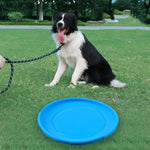 Dog Flying Disc