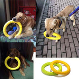 Dog Flying Disk Training Ring