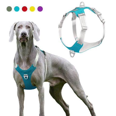 Pet Dog Harness Vest Collar For Medium Large Dogs