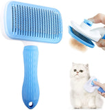 Hair Remover Brush C