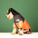 Down Jacket For Medium and Small Dog